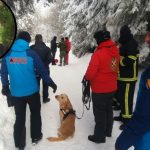 Istražitelji ne isključuju mogućnost da je El- Emin otet ili da se krije