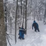 (FOTO) Nastavlja se potraga za nestalim mladićem