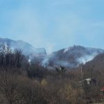 Požar kod Konjica, gori hrastova šuma