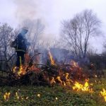 Muškarac stradao prilikom paljenja korova: Policija uputila apel građanima