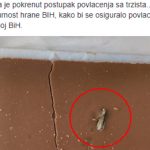 Pazite kakvu čokoladu jedete! Uzorak predat inspekciji u Sarajevu