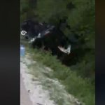 (VIDEO) Teška nesreća na putu Sarajevo – Trnovo: Dvije osobe teško povrijeđene