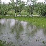 (FOTO) U Bihaću poplavljene ceste i desetak kuća, u Cazinu stavljaju vreće s pijeskom zbog izlijevanja Mutnice