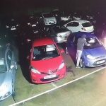 Piroman snimljen kako pali automobile, oštećeno ukupno deset vozila