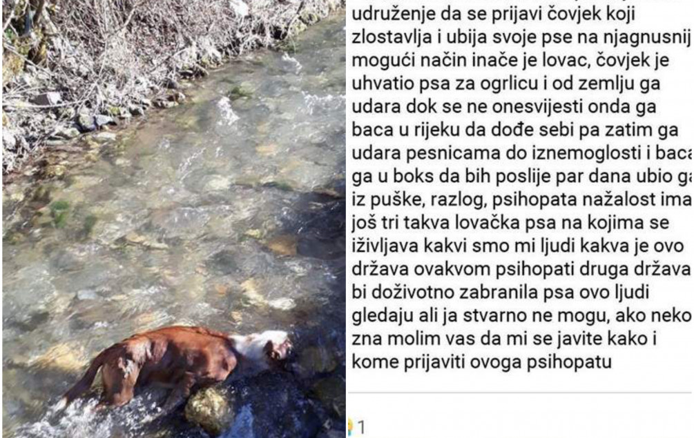 Ubio psa: Lovac prijeti smrću aktivistici koja ga je prijavila