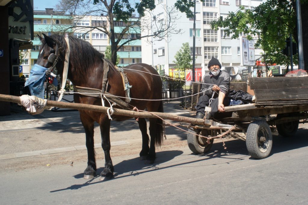 (FOTO) Boji se korone, i sebi i konju stavio masku