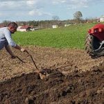 Sjeme i sadni materijal poskupjeli do 50 posto, šta će biti ove godine sa sjetvom u BiH?