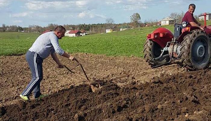 Sjeme i sadni materijal poskupjeli do 50 posto, šta će biti ove godine sa sjetvom u BiH?