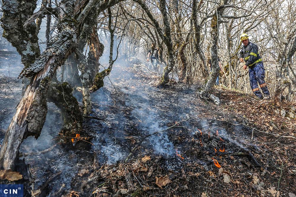 (FOTO) Vatrogasci tražili čizme, a dobili metlarice