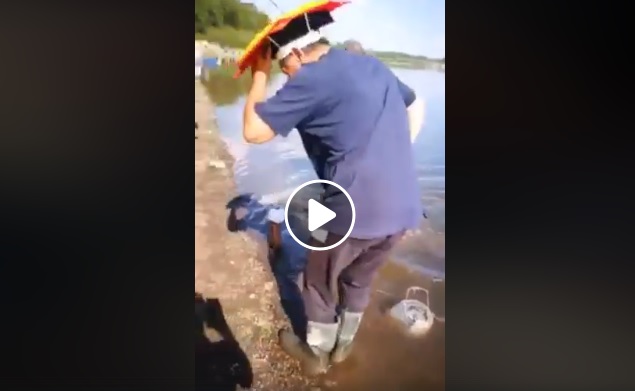 (VIDEO) Uhvaćen som od 10kg, ribolovci ogorčeni postupkom ribara