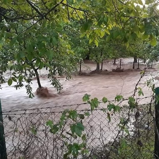 (VIDEO) Veliko nevrijeme pogodino Živinice: Uništena poljoprivreda!