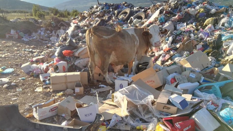 (FOTO) Divlja deponija guši Zaglavicu, mještani u strahu od zaraze