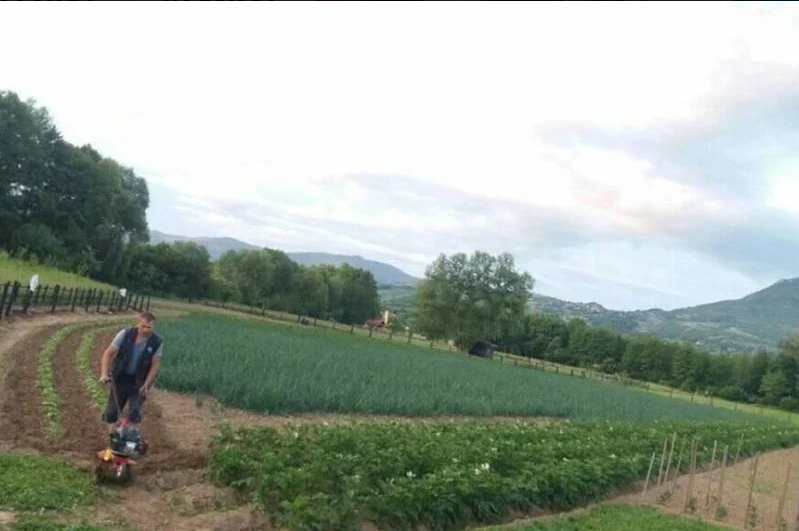 Poljoprivrednici iz Bugojna uporni uprkos problemima zbog koronavirusa: Ništa neće doći samo