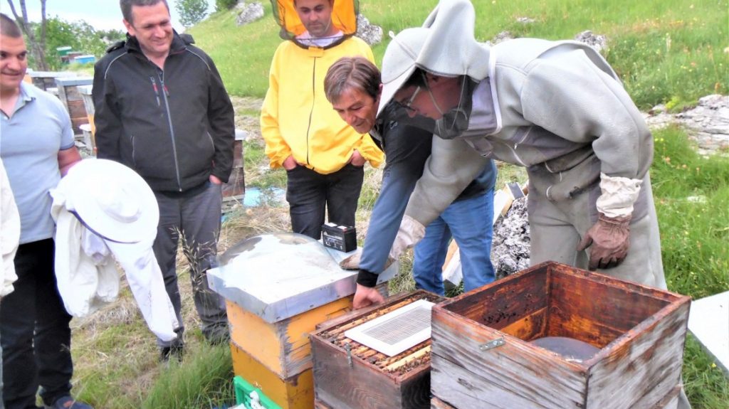 Kiša ali i uvoz pčelarima pretstavljaju velike probleme: Sele u krajave gdje mraza nije bilo