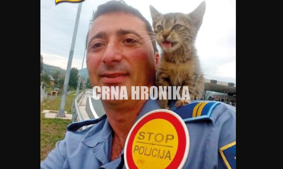 Predivna priča: Policajac iz Zenice spasio mačku sa autoputa A1 (FOTO)