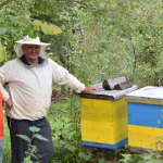 Krenuli sa dvije košnice, danas njihovih pčela ima u cijeloj BiH