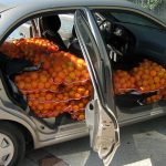 U Škodi pokušao prokrijumčariti 600 kilograma mandarina