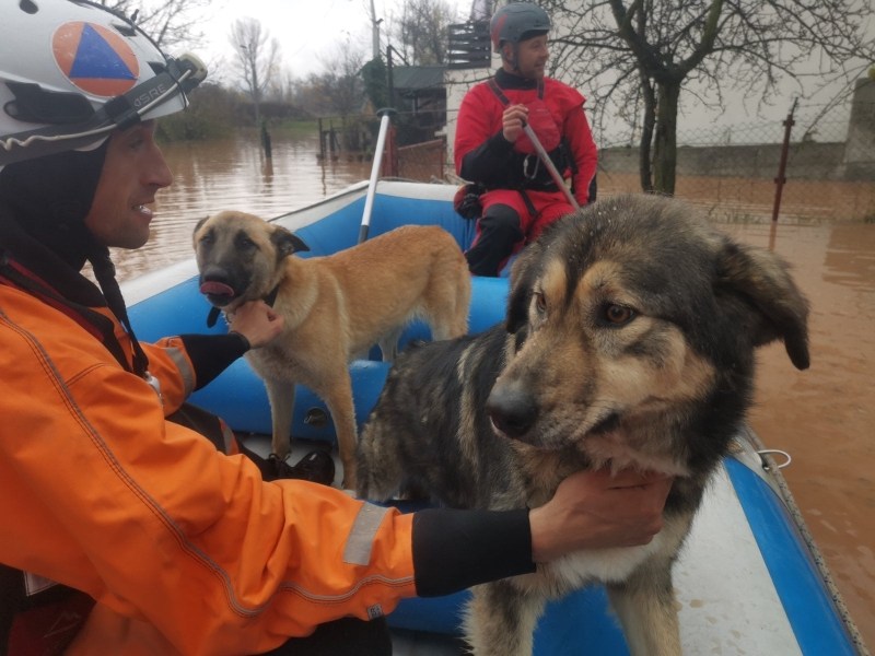 (FOTO) Članovi FUCZ-a spasili pse i koze od poplave