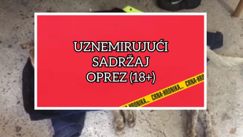 Potresni detalji postupanja prema životinjama: “Ostavili su ga u agoniji da ugine…”