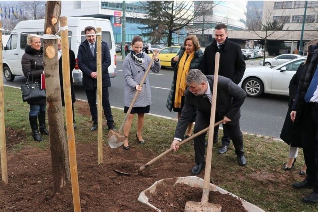 Vlada Kantona Sarajevo zasadila drvo na mjestu gdje je posjećeno drvo koje je smetalo bilbordu