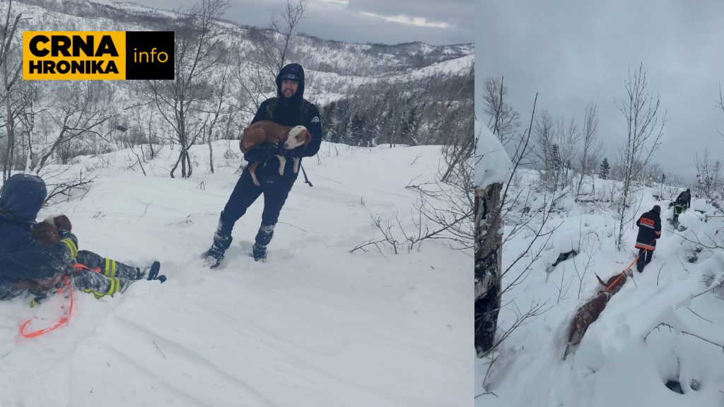 (FOTO) Unatoč velikim nanosima snijega: Dobrovoljni vatrogasci spasili izgubljene lovačke pse s Dinare