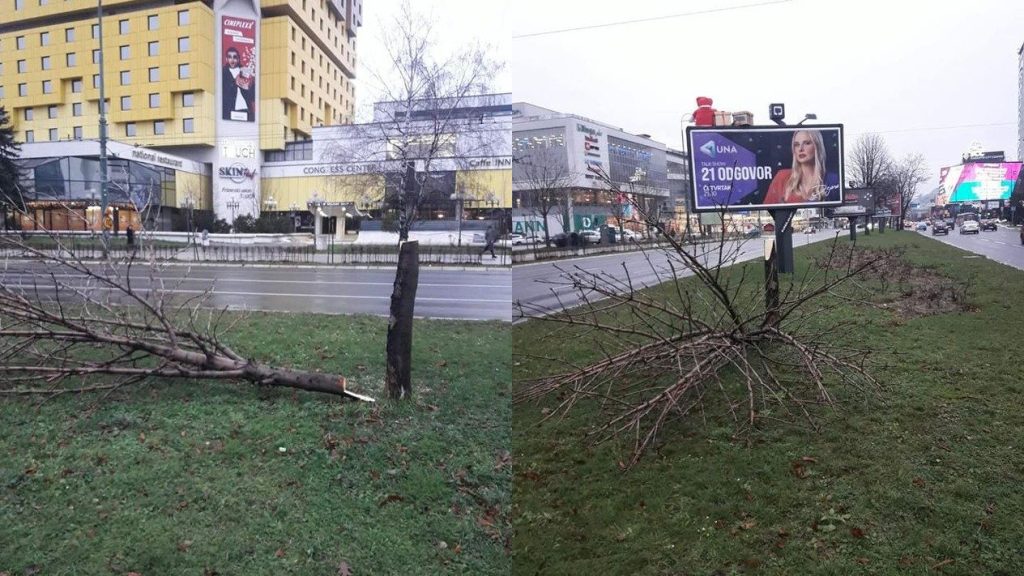 (FOTO) Vandalski čin u Sarajevu: Posječeno stablo da bi se bolje vidio bilbord s reklamom “Dodikove” televizije