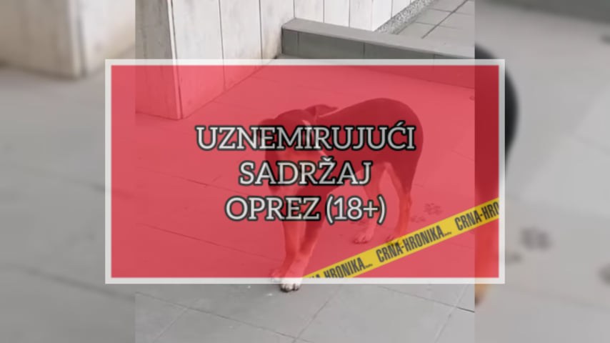 (VIDEO) Uznemirujući video: Pogledajte trovanje pasa u Derventi