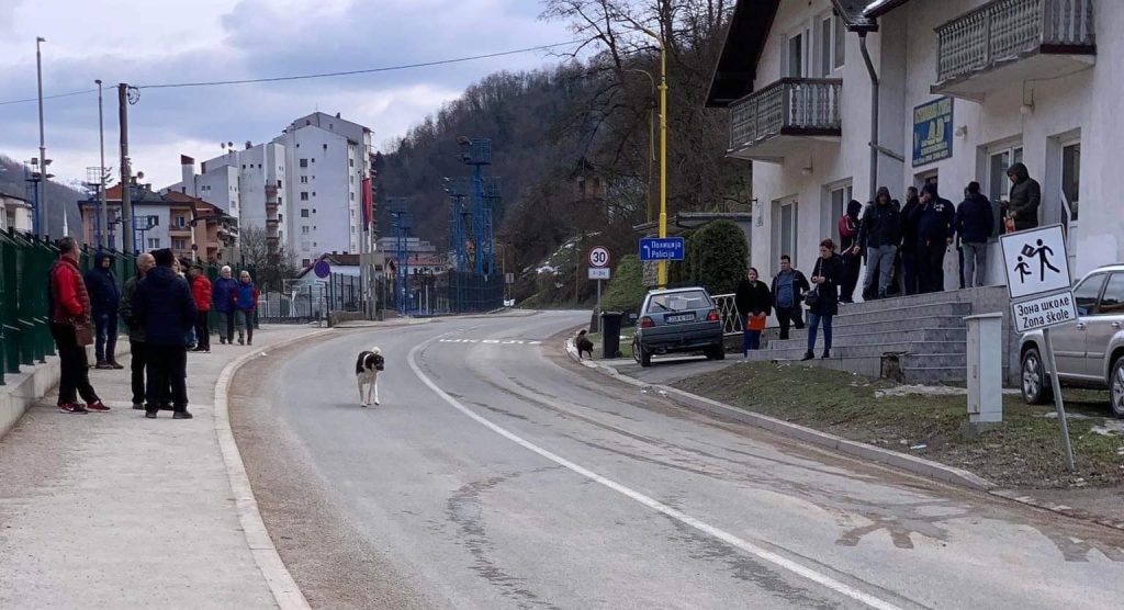 Srebrenica: U Veterinarskoj stanici “sređuju” papire za državljanstvo Srbije