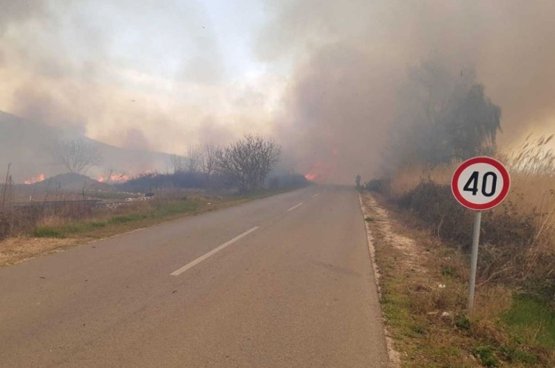 Užas u BiH: Zapalila se trava i košnica sa pčelama, vatrogasci pored pronašli mrtvo tijelo muškarca