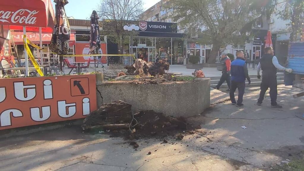 Vandali zapalili lipu staru više od 100 godina