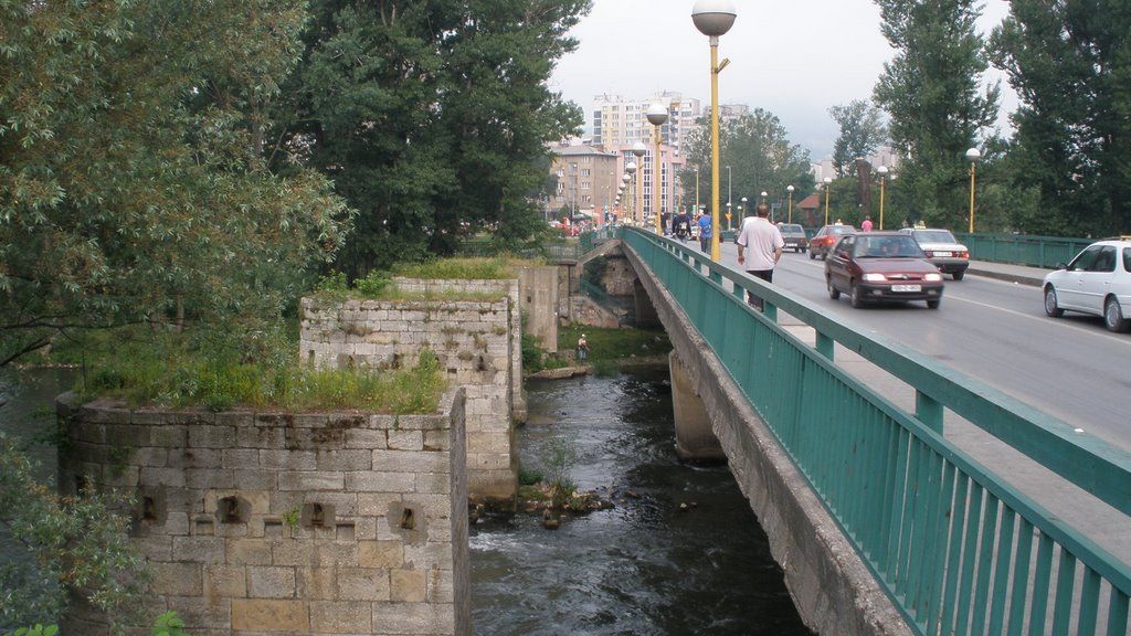 Drama u Zenici: Pokušao sebi oduzeti život skokom s mosta, pa ga spasio pas