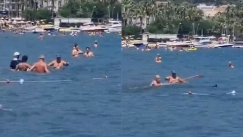 Drama na plaži poznatog mediteranskog ljetovališta: Ajkula doplivala do kupača, oni ga udarali štapom