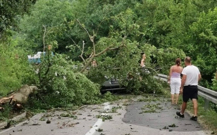 Snažan vjetar oborio drveće na automobil u pokretu