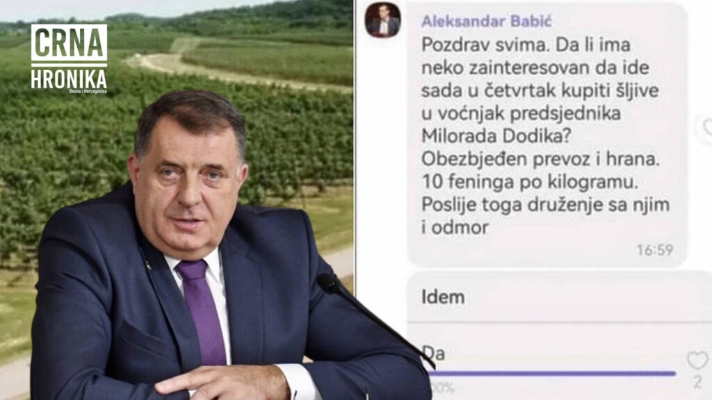 Da li ste dobili viber poruku u kojoj se traže radnici na kupljenje šljiva kod Milorada Dodika: “Kila 10 feninga”