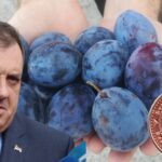 Dodik traži nekog ko će mu brat šljive: Kilogram 10 feninga, pa druženje sa njim