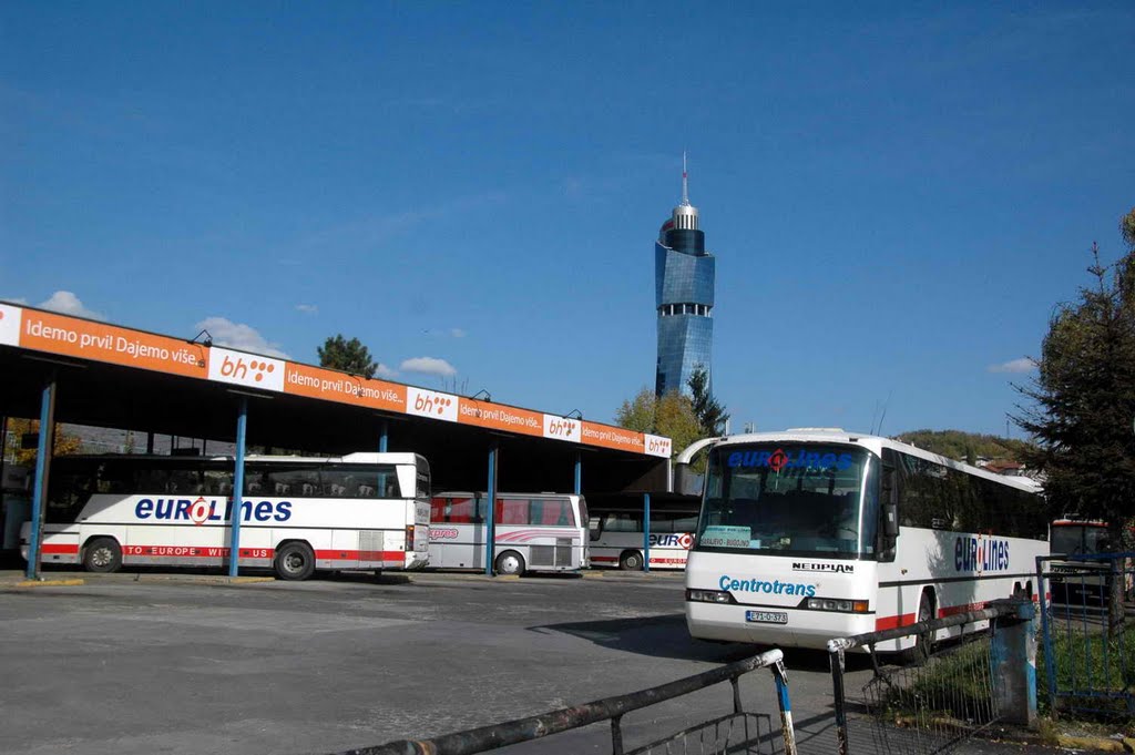 Bosanac napravio haos u autobusu: Galamio i lupao pa nasrnuo na vozača tokom vožnje