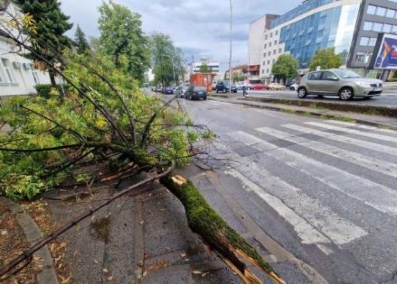 Jako nevrijeme pogodilo Banju Luku, jak vjetar lomio drveće i nosio kontejnere