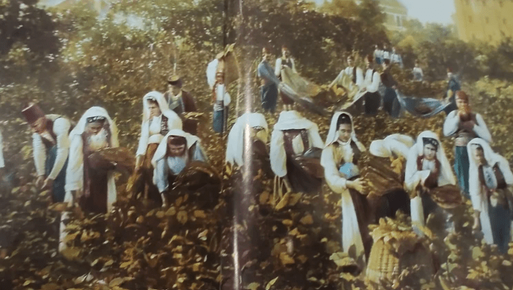 Ko je i kako je uništio duhansku industriju Bosne i Hercegovine?