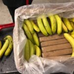 Tužilaštvo BiH: Kokain koji je pronađen u bananama vrijedi milione eura