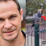 Enis Bešlagić snimao dječiji park u Sarajevu: Evo igraju se tri konstruktivna goluba i dva Kineza