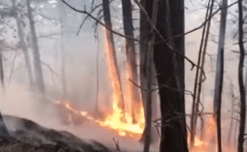 Oružane snage BiH gase požar kod Gornjeg Vakufa (VIDEO)