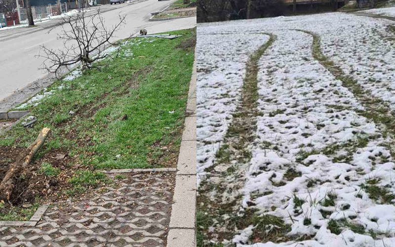 Mladi trkači divljali automobilima: Driftali livadom, lomili drveće i znakove?