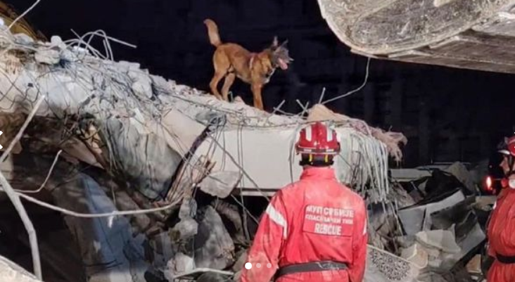 MUP Srbije: Pas Zigi nanjušio živu osobu