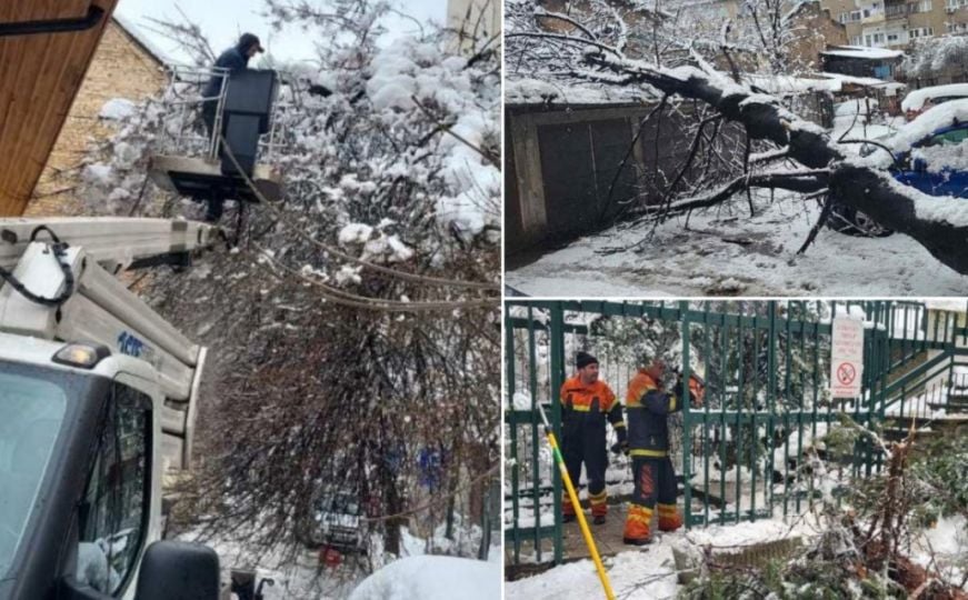 Velika materijalna šteta: Pogledajte uklanjanje polomljenih stabala i grana u centru Sarajeva