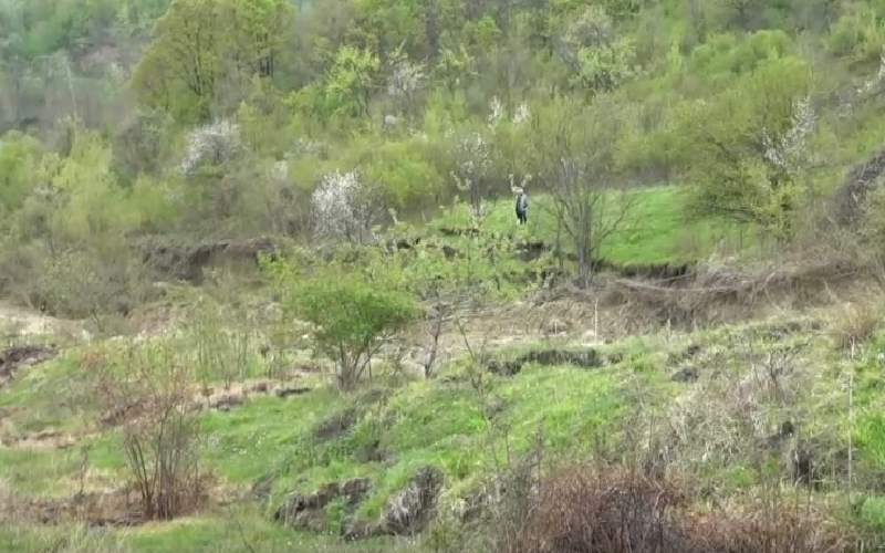 Pokrenuto klizište u Koraju, mještani strahuju od kiša