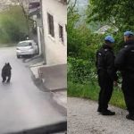 Služba civilne zaštite sa pripadnicima MUP-a KS tragaju za medvjedom po Sarajevu