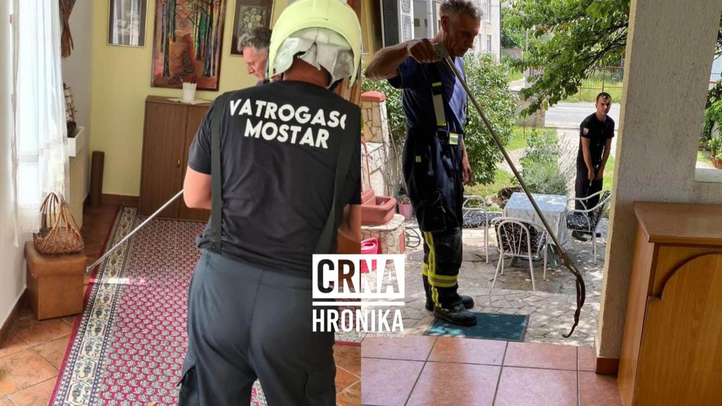 (FOTO) Vatrogasci hvatali zmiju u porodičnoj kući