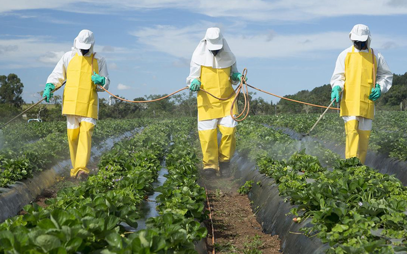 Šta jedu Bosanci i Hercegovci? Od 184 uzorka hrane samo 3 nisu sadržavala pesticide