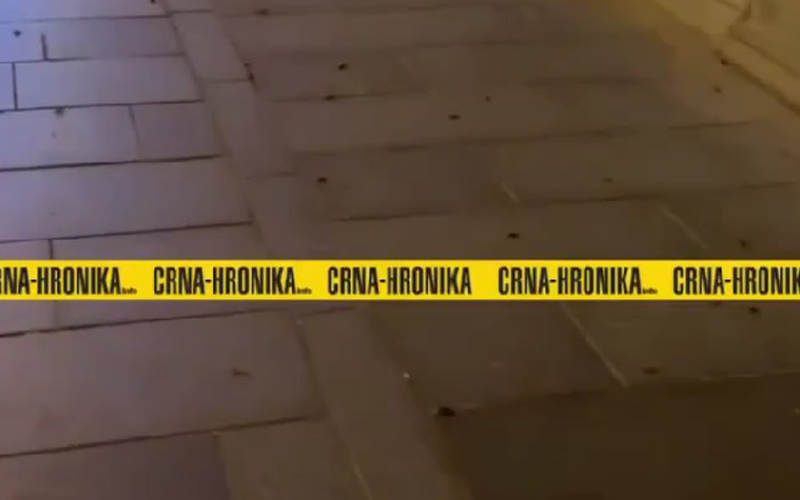 Sarajlije šokirane videom: Stotine žohara u ulici Ferhadija