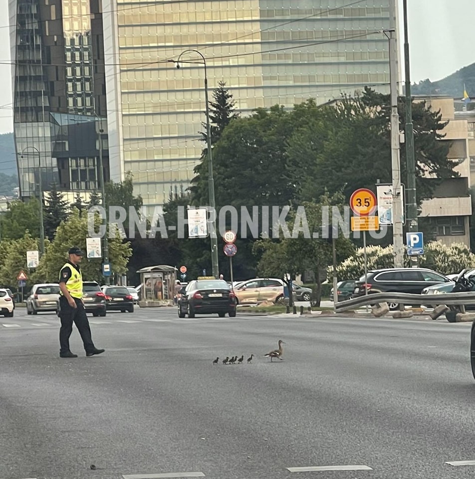 Divne priče sarajevskih policajaca: Pustili pačiće, gurali automobile, nosili muškarca u kolicima